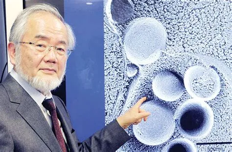 Der Kyoto Prize 2018 und die bahnbrechende Forschung von Yoshinori Ohsumi im Bereich der Autophagie